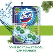 Domestos Wc Blok 5Li Güç Çam Ferahlıgı 50GR 6863 - 8