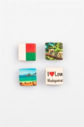 Madagaskar Temalı Dörtlü Taş Magnet thumbnail 2