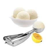 Çelik Kurabiye Helva Dondurma Servis Sunum Kaşığı 50 mm (PDM-50) - 3