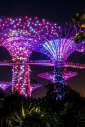 Singapur Temalı Fresco Magnet thumbnail 4