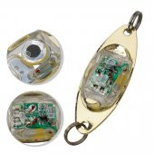 Rapala Lures Jig Yem Çakar Modlu Led 10gr SahteYem TurnaLevreklLüfer Ailesi vs Lrf Dişli Balık Yemi - 6