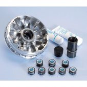 Polini VARIATOR HI-SPEED YAMAHA XMAX250 / MAJESTY 250 241.649 - 1