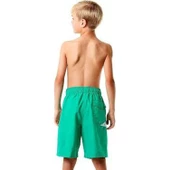 Speedo Graph Les 17 Wsht Jm Green/Green  Sp8078589367 - 1