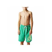 Speedo Graph Les 17 Wsht Jm Green/Green  Sp8078589367 - 2