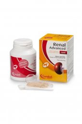 Renal Advanced - 1