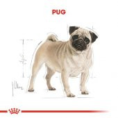 Royal Canin Pug Adult Irka Özel Yetişkin Köpek Maması 1.5kg - 3