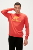 Bad Bear 22.02.12.007-C109 Logo Erkek Sweatshirt thumbnail 3