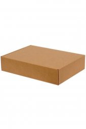 Kraft Kilitli Kargo Kutusu  Ebat 30x20x5 Cm (100 Adet) - 2