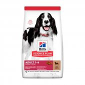 Hills Adult Lamb Kuzu Etli Orta Irk Yetiskin Köpek Mamasi 14 Kg - 1