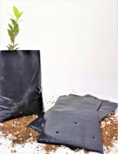 Kalın Körüklü Fide Torbası Fidan Yetiştirme Poşeti Siyah Delikli - 15x20 Cm. - 10 Kg.lık Paket thumbnail 1
