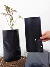 Kalın Körüklü Fide Torbası Fidan Yetiştirme Poşeti Siyah Delikli - 15x20 Cm. - 10 Kg.lık Paket thumbnail 4