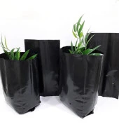 Kalın Körüklü Fide Torbası Fidan Yetiştirme Poşeti Siyah Delikli - 20x25 Cm. - 10 Kg.lık Paket thumbnail 2