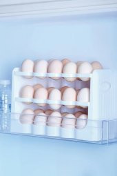 Gondol System 30 Bölmeli Yumurta Kutusu G-771 - 3