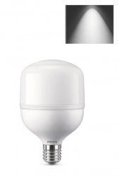 Philips TrueForce 20W Torch Led Ampul Beyaz 6500K Jumbo Pazar Ampulu 13,9 cm - 1