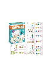 Yaz Sil Eğitici Aktivite Zeka Kartları Sayılar Flash Cards - 2