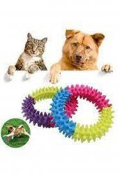 Köpek Isırma Kaşıma Çemberi 9,5 Cm - 1