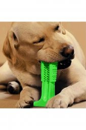 Köpek Diş Temizleyici Ve Kaşıyıcı Sağlıklı Küçük Boy Oyuncak - 1