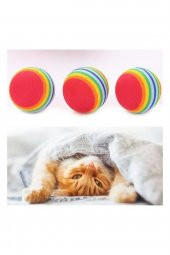 3lü Gökkuşağı Sünger Kedi Köpek Çiğneme Oyun Topu 4,2 Cm - 2