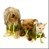 Athletique Green Camouflage Kapşonlu Sweat Köpek Kazağı - 7