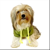 Athletique Green Camouflage Kapşonlu Sweat Köpek Kazağı - 4