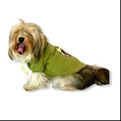 Athletique Green Camouflage Kapşonlu Sweat Köpek Kazağı - 5
