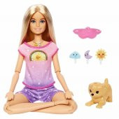 Barbie Meditasyon Yapıyor Oyun Seti HHX64 thumbnail 1