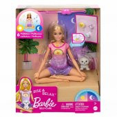 Barbie Meditasyon Yapıyor Oyun Seti HHX64 thumbnail 4