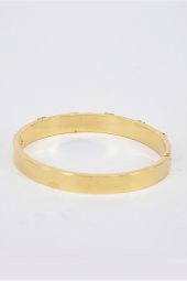 Altın & Yeşil Renk Çelik Kelepçe Paslanmaz 316L SU-863 - 3