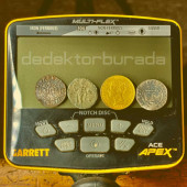 Garrett Ace Apex Basic Dedektör Viper Başlıklı (15x28cm) - 8