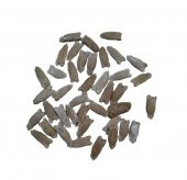 Su Kabağı Tohumu 50 adet Karışık Paket - 1