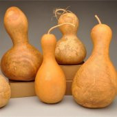 Su Kabağı Tohumu 50 adet Karışık Paket - 2