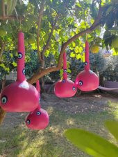 Bahçe süsü,Balkon Süsü Fuşya Renk - 1