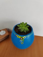 Dekoratif Çiçek Saksısı Mavi Renk Skulent ve Kaktüsler İçin Uygun - 3