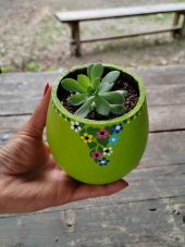 Dekoratif Çiçek Saksısı Fıstık Yeşili Renk Skulent ve Kaktüsler İçin Uygun - 2