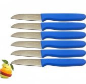 Sürbısa 6 Lı Meyve Bıçağı Mavi 61007 - 1
