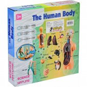 Asya Oyuncak The Human Body İnsan Vücut Tanıma Seti - 5