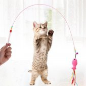 3B Trend Esnek Kedi Oyuncağı Evcil Hayvan Oyun Oltası 90 cm - 2