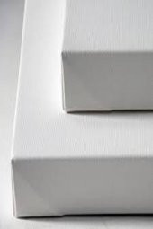 50X50 DUBLE ŞASE PROFESYONEL TUVAL - 2