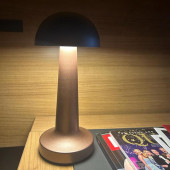 Forlife Dekoratif Şarjlı Led Masa Lambası Bronz FL-8080 - 1