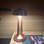 Forlife Sakarya Dekoratif Şarjlı Led Masa Lambası Fl-8054 - 2