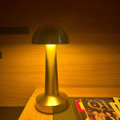 Seyhan Dekoratif Şarjlı Led Masa Lambası FL-8055 - 3
