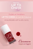 Pastel Lip To Cheek Tint Carmen Ruj ve Allık thumbnail 3