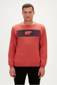 FANCY CREWNECK GINGER ERKEK SWEATSHIRT 19.02.12.007 - 1