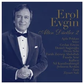 Erol Evgin  - Altın Düetler 2 klasik Vinly plak alithestereo - 1