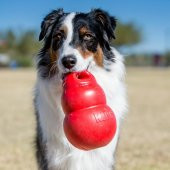Kong Bounzer Zıplayan Yumuşak Köpek Oyuncak L 20 Cm - 8
