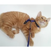 Kedi Boyun ve Göğüs Tasması - 4