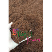 Tuğel Flowers Cocopeat (KATKISIZ VE ELENMİŞ) Hindistan Cevizi Kabuğu Torfu (5 LİTRE) - 3