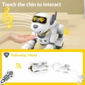 STEMTRON Programlanabilir Uzaktan Kumandalı Robot Köpek - Altın - 4