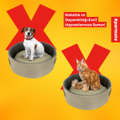 Sünger Simit Küçük Irk Köpek Yatağı 45 Cm Bej Antrasit - 2