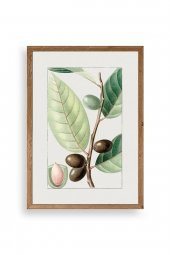 Enk Wall Art Zeytin Dalı Ahşap Çerçeveli Tablo - 1